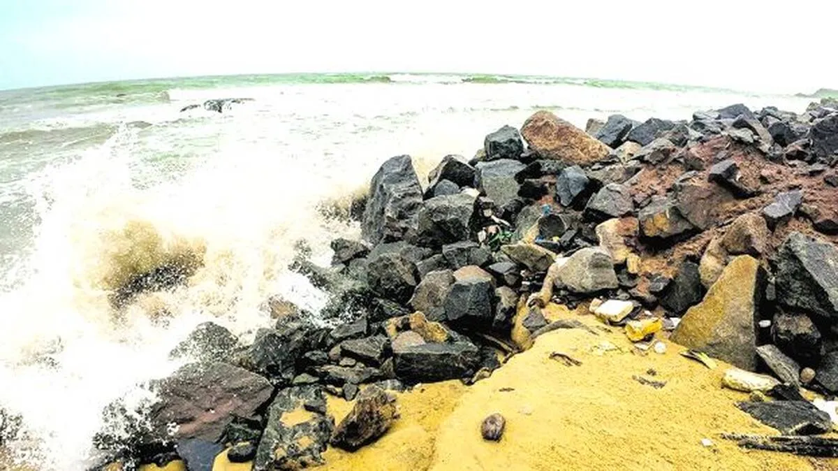 trikkannad