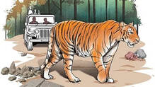 animals