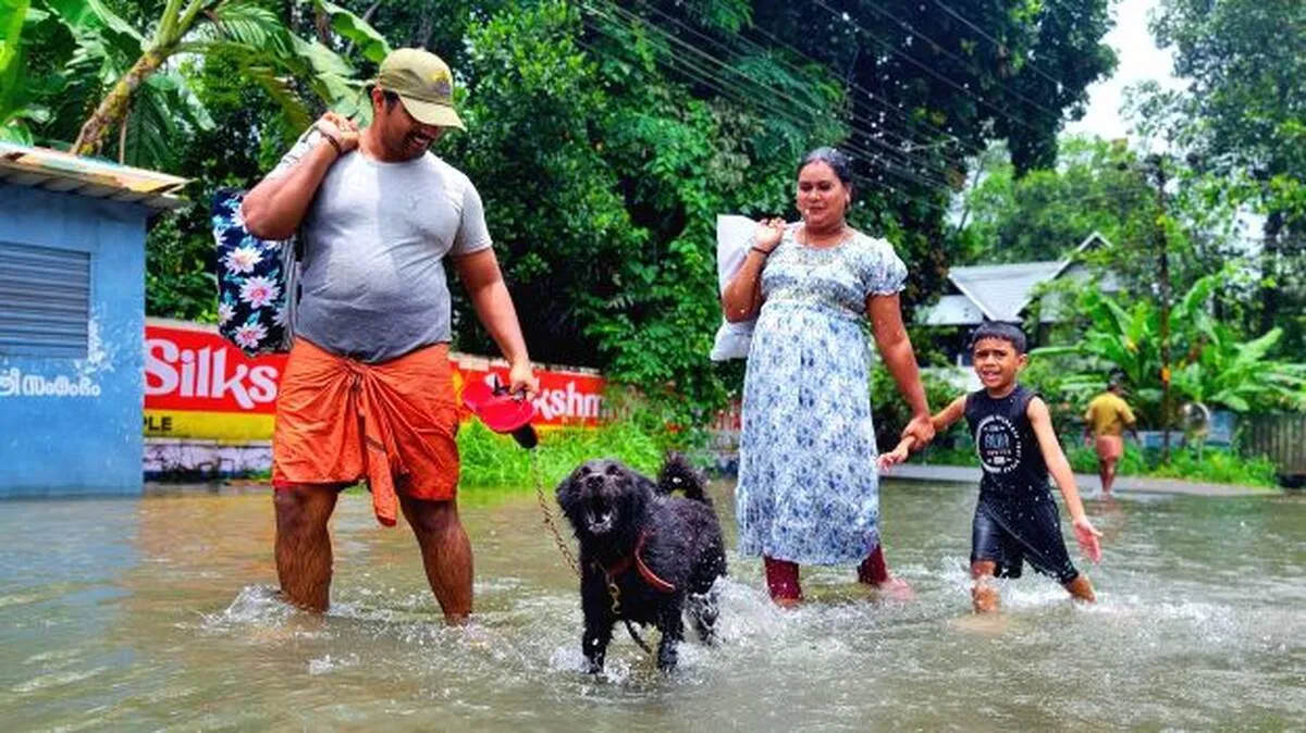 flood flood