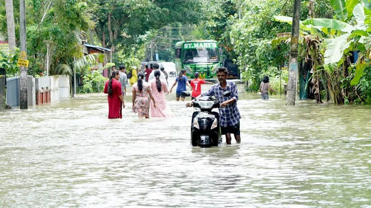 vellam