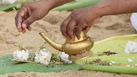 karkkadakavavu.1.3973167