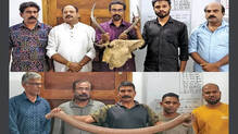 deer-antler-iruthala-moori-forest-arrest