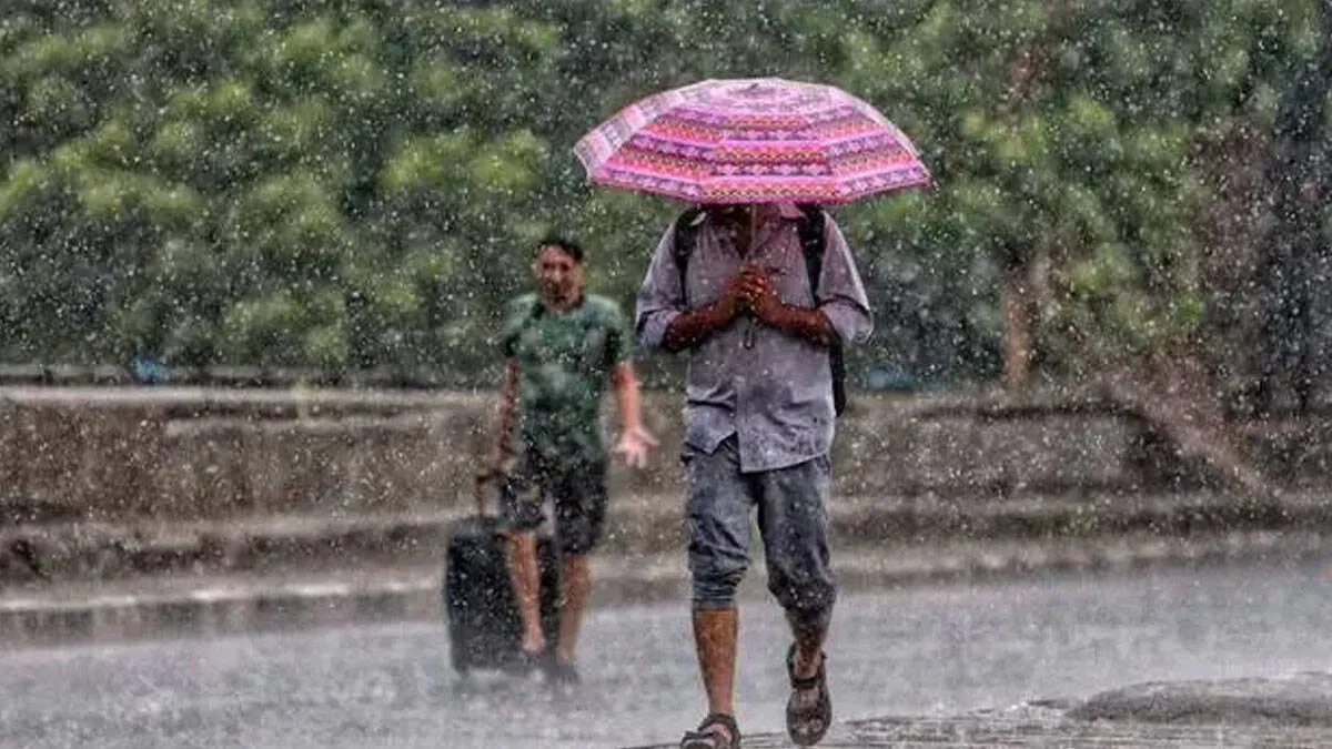 rain