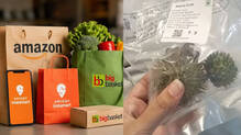 amazon-swiggy-bigbasket-poisonous-fruit-ban