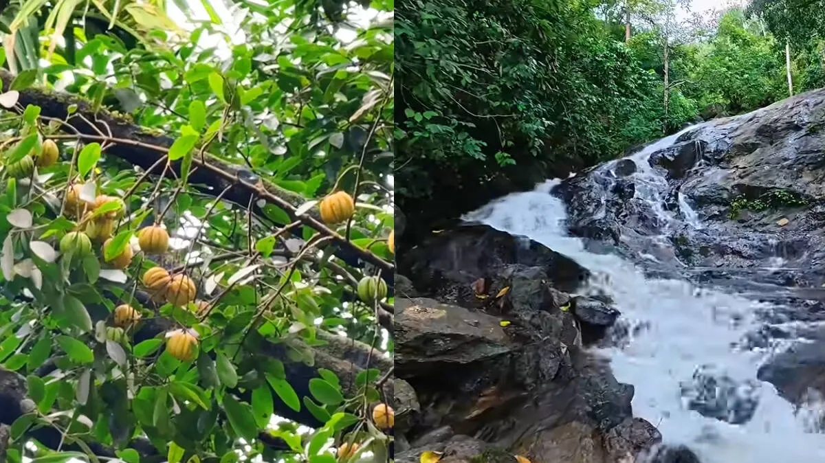 pulikkathadam-village
