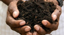ernakulam-government-law-college-students-turn-campus-food-waste-into-green-grow-compost