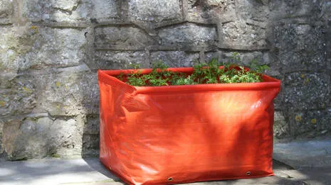 grow-bag.1.3998747