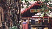 elur-temple-theft-fifth-time-in-two-weeks-cctv-captured-thief