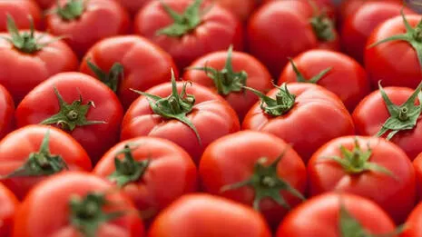 tomato.1.606612