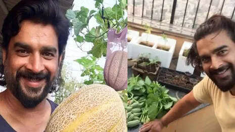 r-madhavan.1.4002472