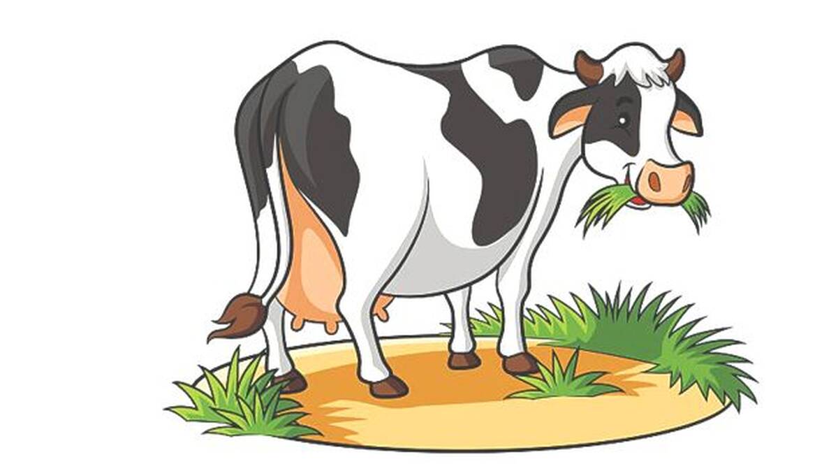 pashu