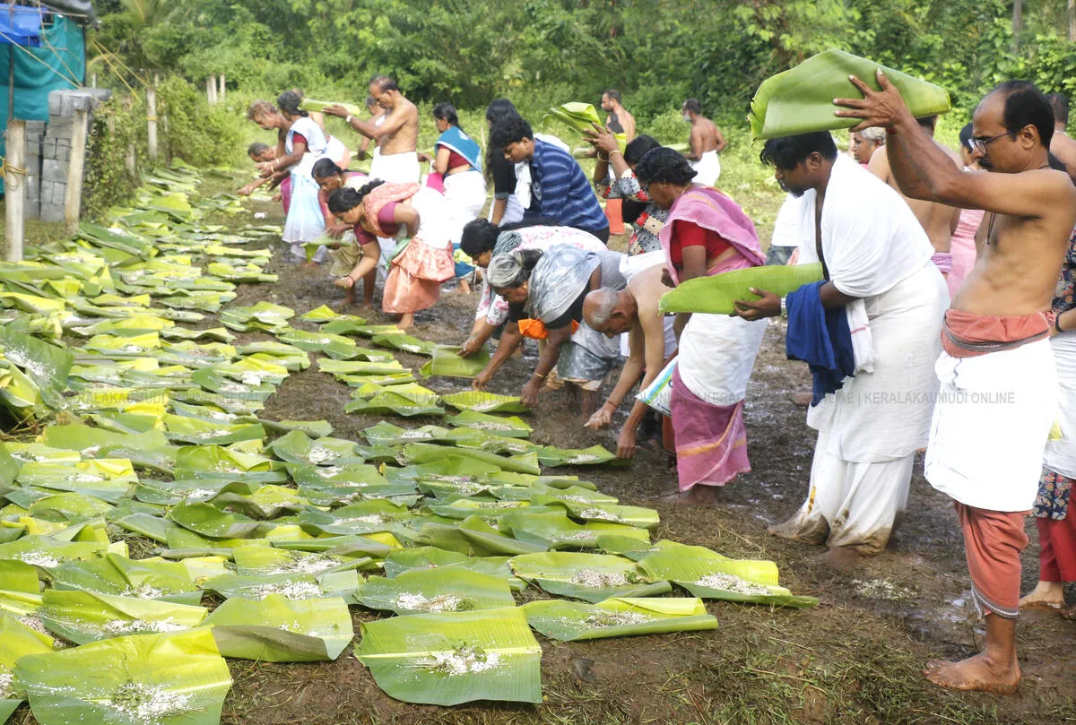 vavubali