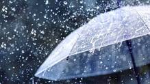 rain