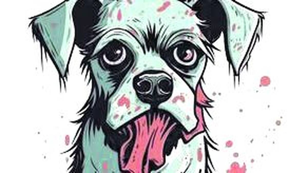 dog