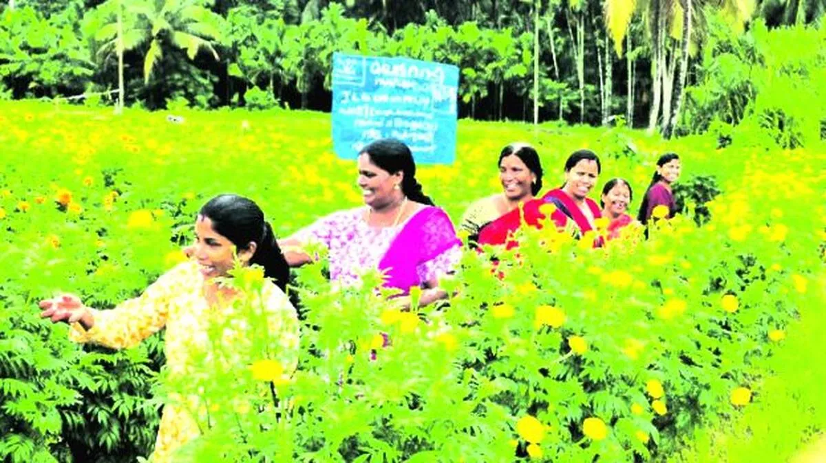 onam onam