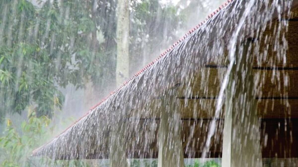 rain