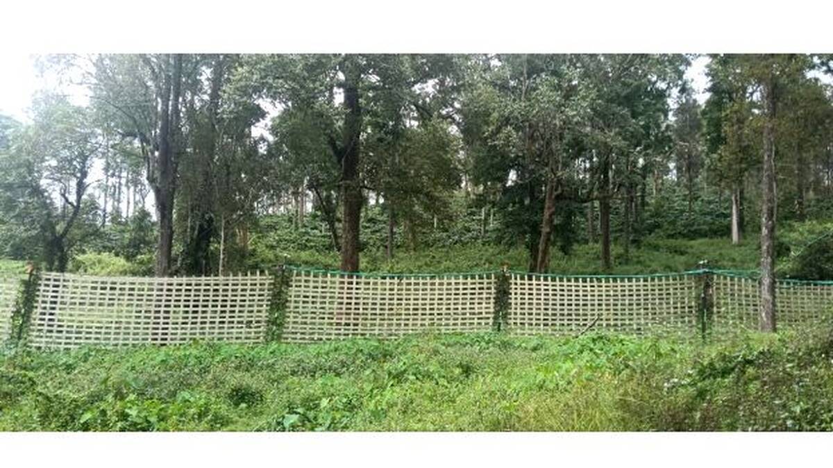a-i-ele-fencing
