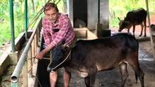 periyar