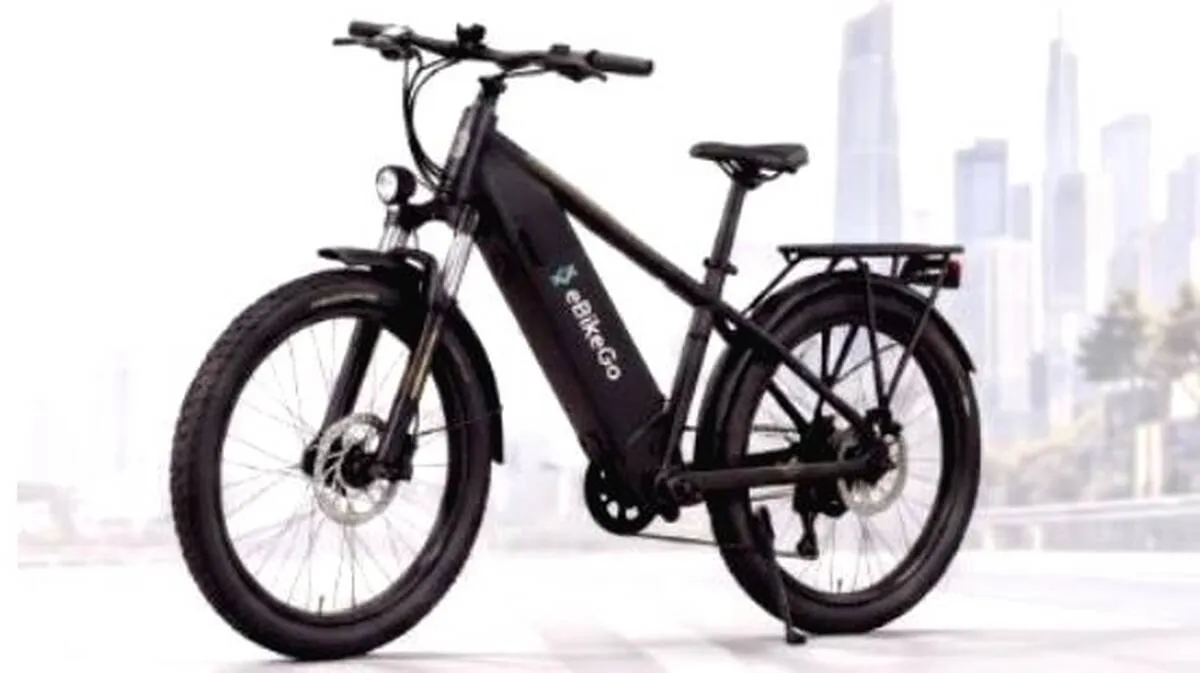ebike1