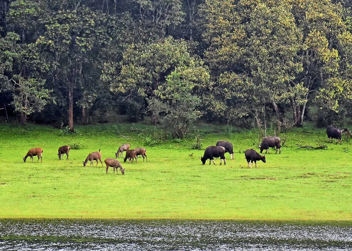 Kerala Kaumudi Photo Gallery