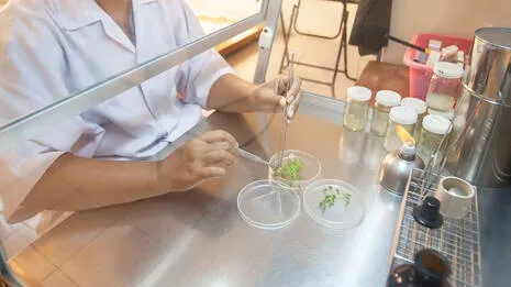 tissue-culture.1.4004450