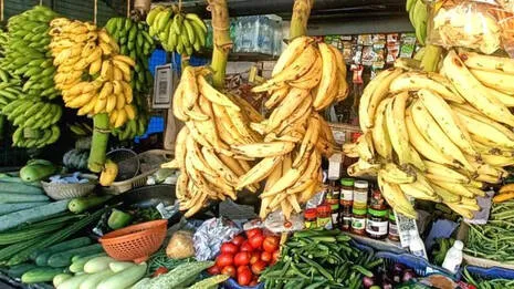 banana-.1.4005607