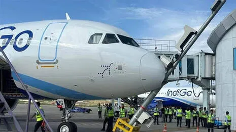 indigo.1.4007058