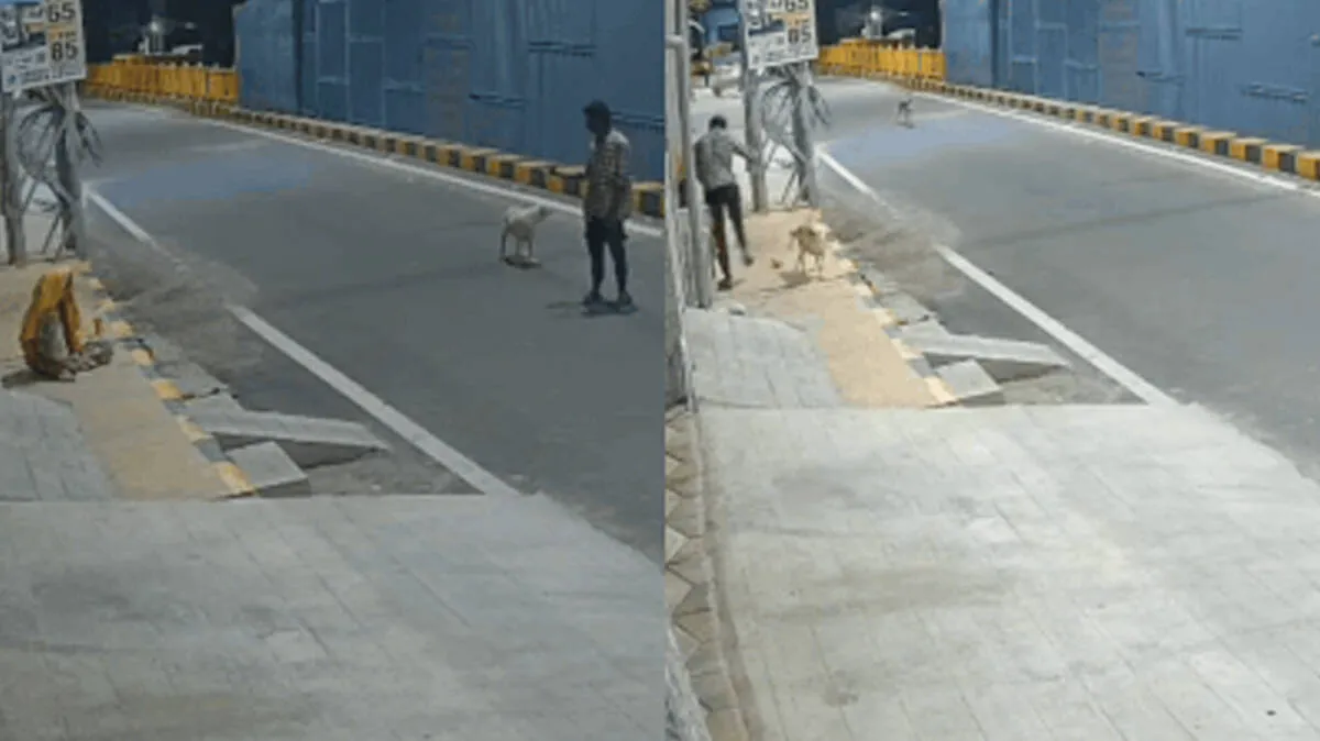 cctv-visuals
