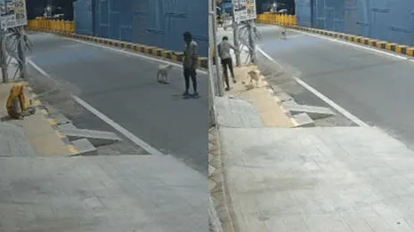 cctv-visuals.1.4007152