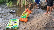 attappadi--body-parts-found-in-sacks-case-more-details-out