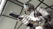 robots