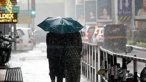 rain.1.4019966