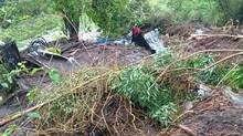 rain