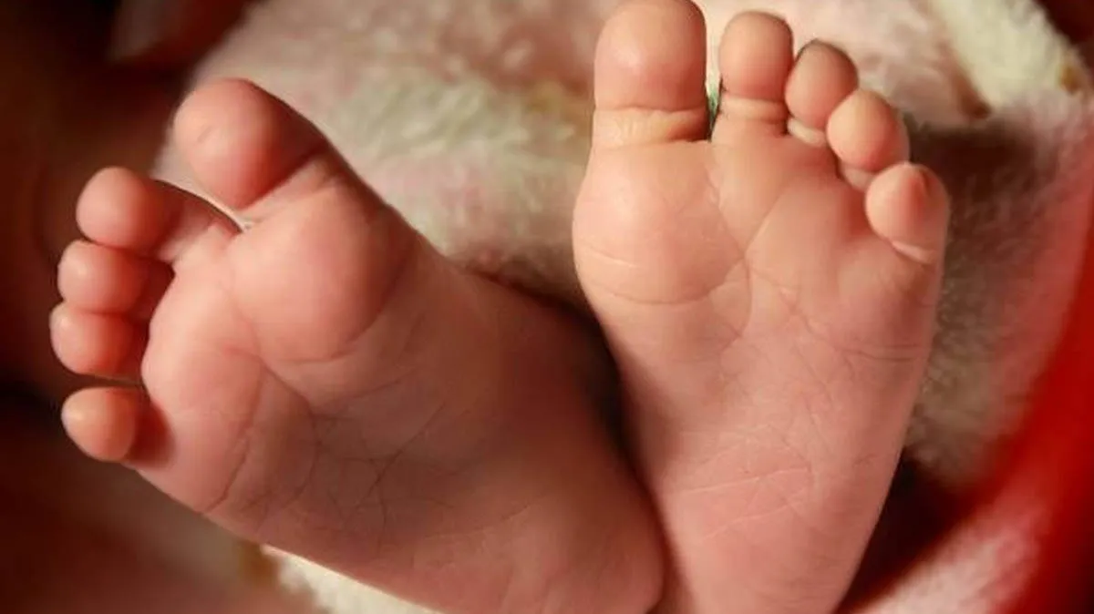 infant-