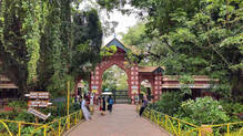 zoo-relocation-forest-area-environmental-impact