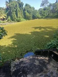 kulam.1.4015851