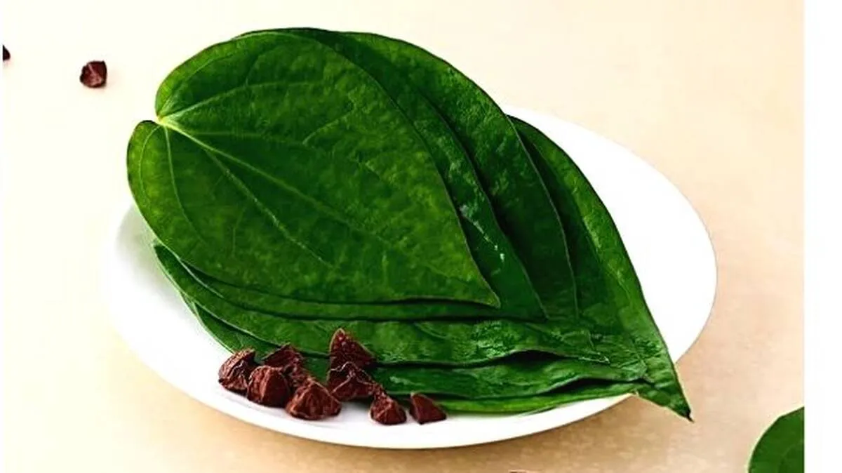 vet