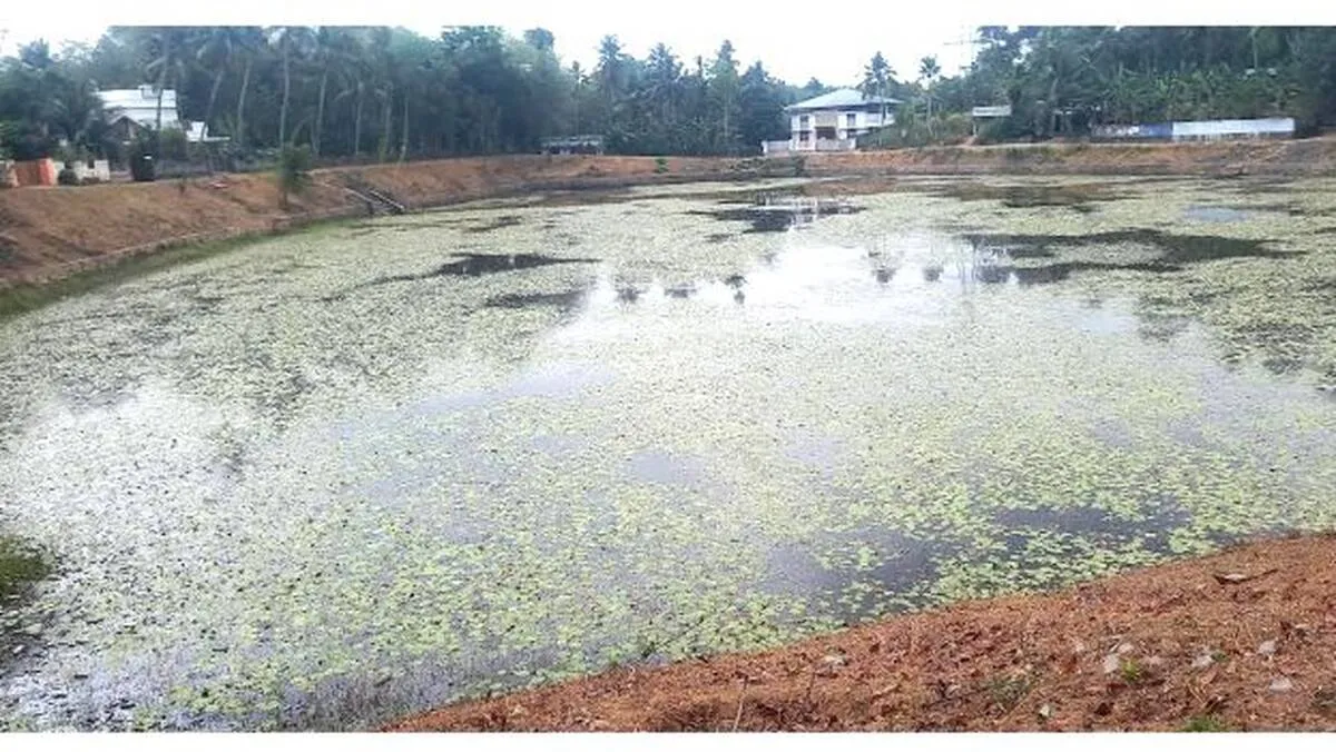 perumkulam