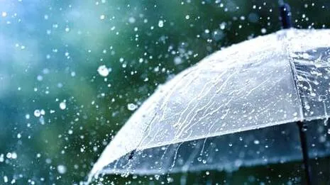 rain.1789316768