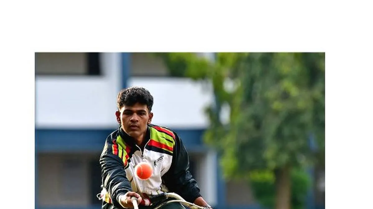 aldin-1