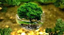 ecological-sensitive-zone