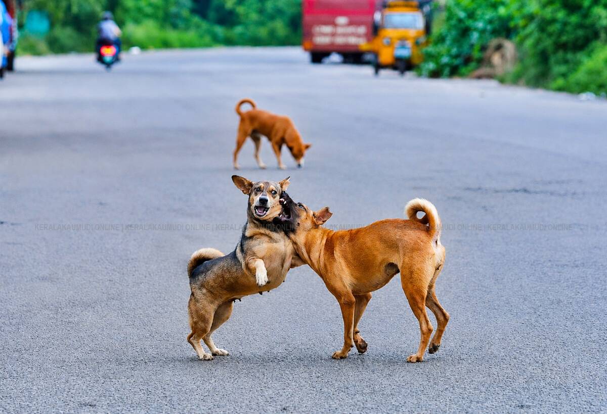 Kerala Kaumudi Photo Gallery