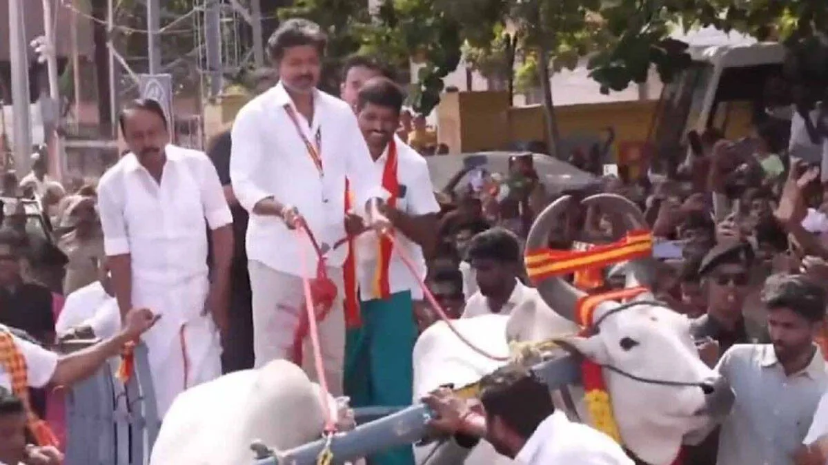 vijay