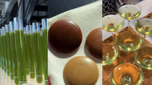 cocoa-free-chocolate-food-waste-spora