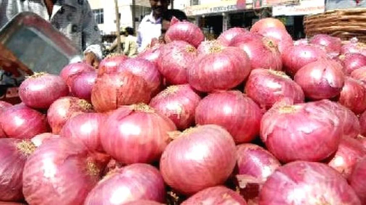 onion-price