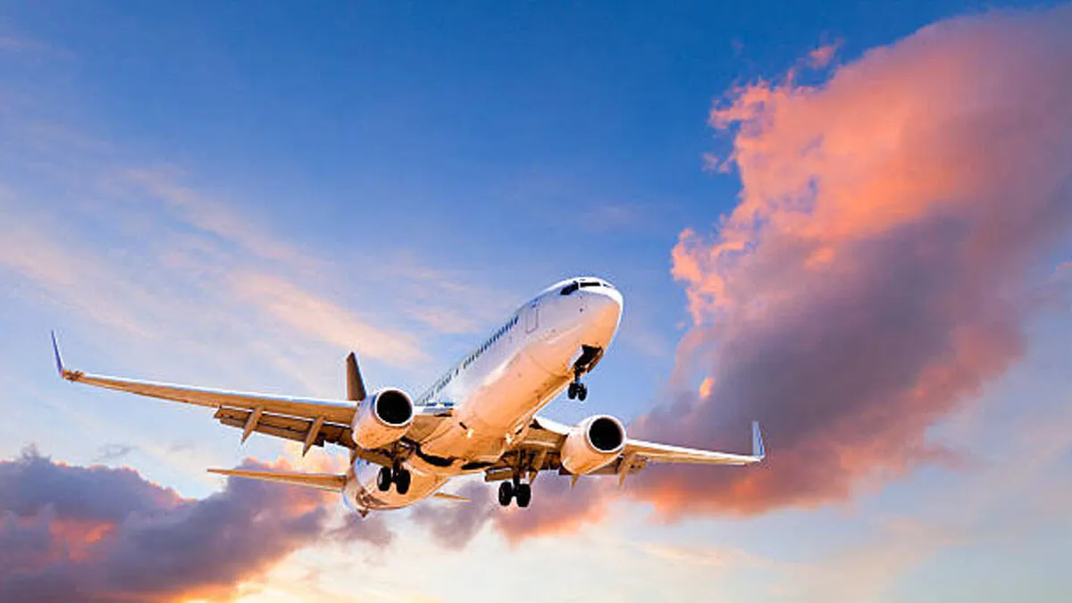 flight