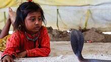shetpal-maharashtra-indias-famous-snake-village