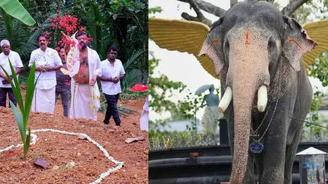 suresh-gopi.1.4062909