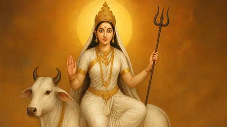representational-image.1.4070436