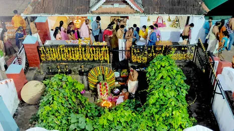 panachuikkad-.1.4073800
